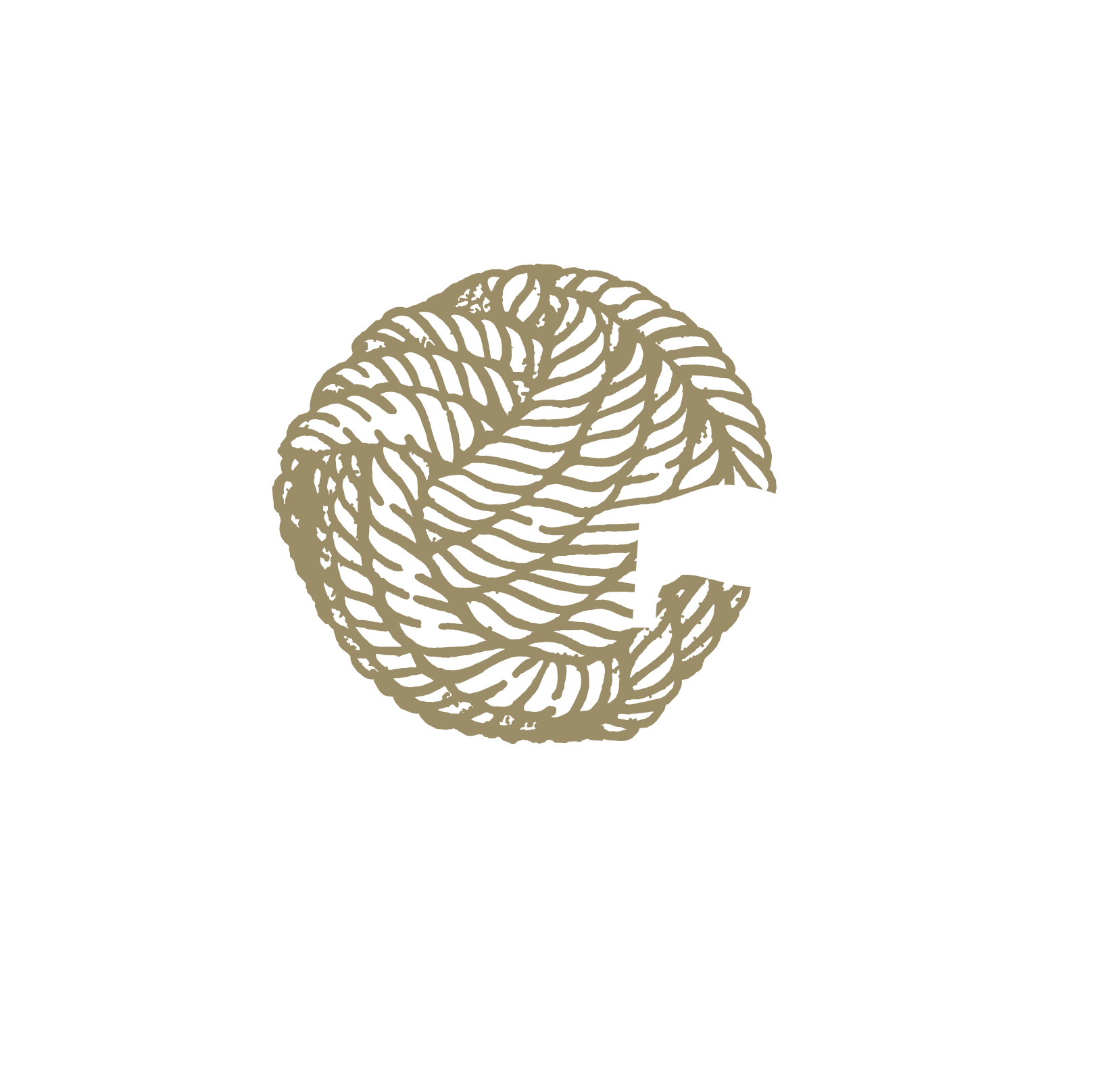somos expertos